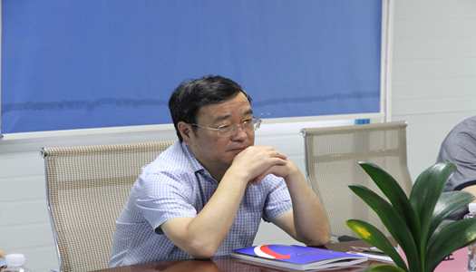 巩魁生副厅长光临锦艺四时城C地块安设房项目调研领导