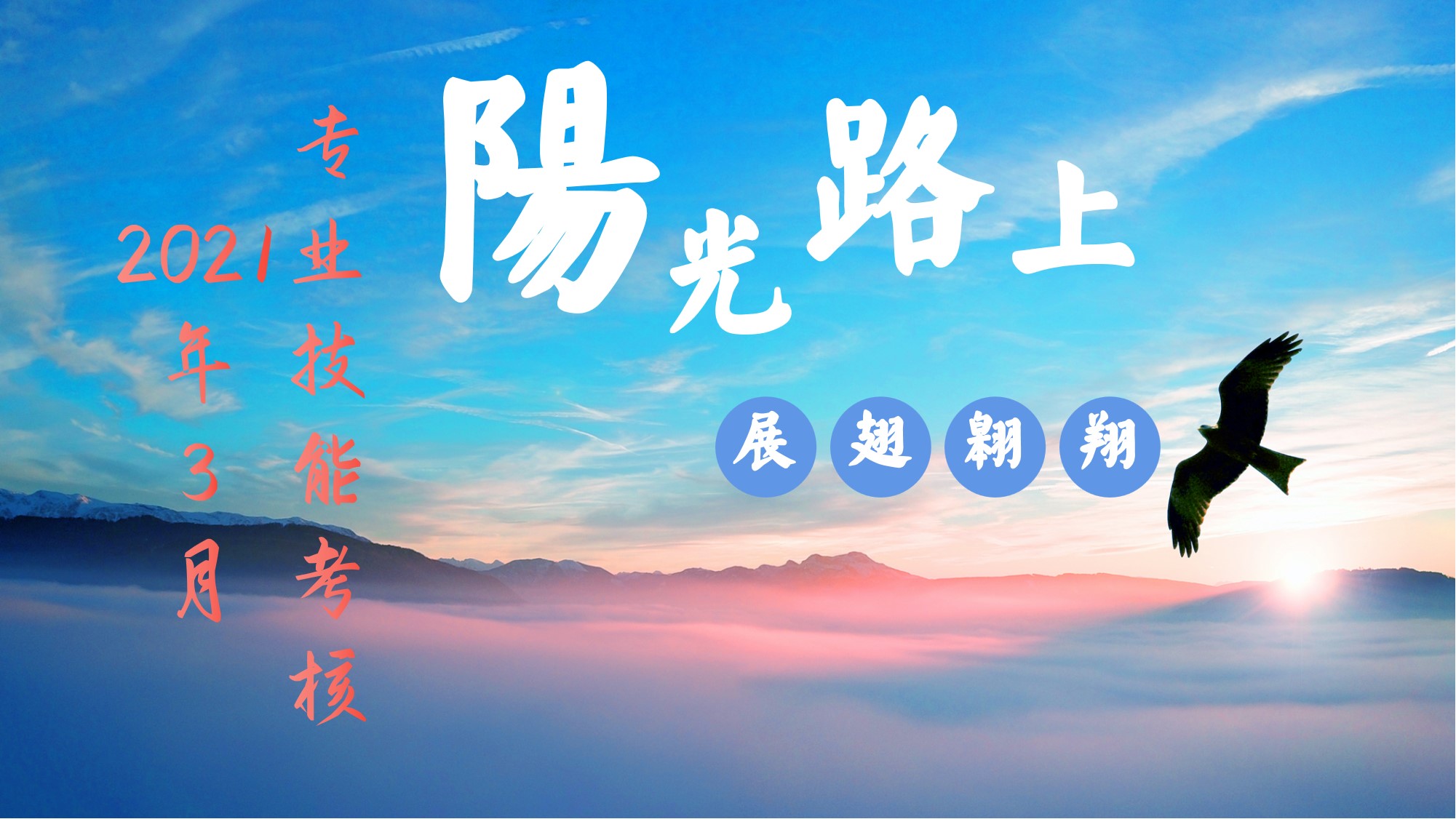 阳光路上    展翅飞舞